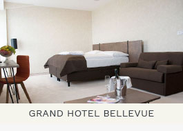 Rozkládací pohovky VITARELAX v GRADD HOTEL BELLEVUE ve Vysokých Tatrách