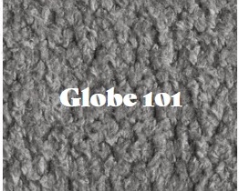 GLOBE 101